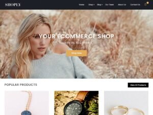 Online Shoply WordPress Theme