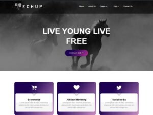Parallax Techup WordPress Theme