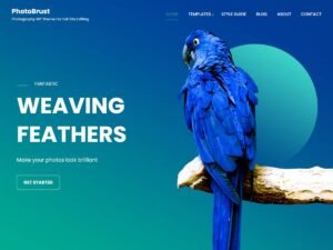 PhotoBrust WordPress Theme