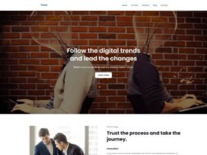 Teesa WordPress Theme