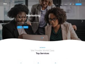 Bizes WordPress Theme