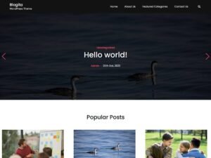 Blogita WordPress Theme