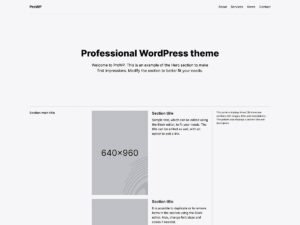 ProWP WordPress Theme