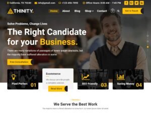 Thinity WordPress Theme
