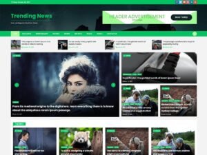 Trending News WordPress Theme
