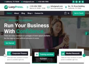 LazyPress WordPress Theme