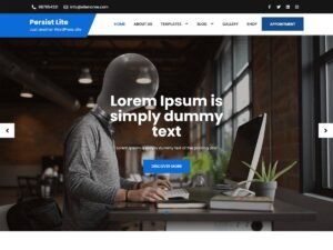 Persist Lite WordPress Theme