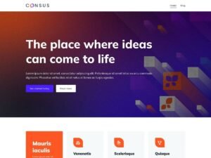 Consus WordPress Theme