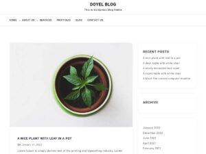 Doyel Blog WordPress Theme