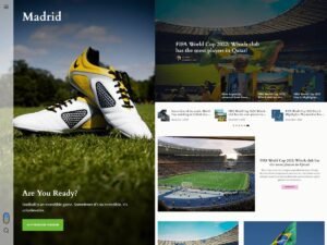 Madrid WordPress Theme