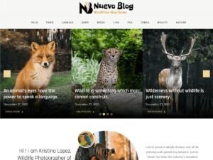 Nuevo Blog WordPress Theme