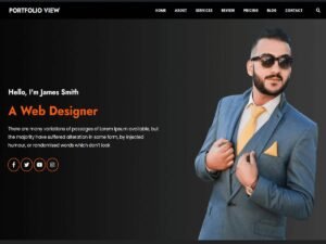 Portfolio View WordPress Theme