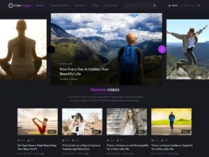 Professional Video Vlogger WordPress Theme