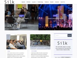Silk Blog X WordPress Theme