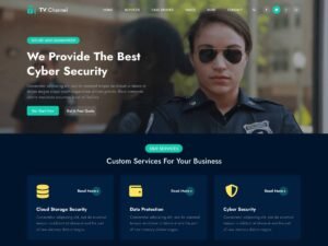 TV Channel Insight WordPress Theme