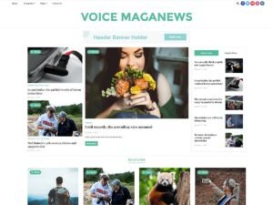 Voice Maganews WordPress Theme