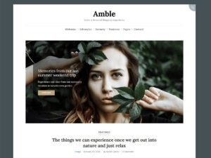 Amble WordPress Theme