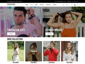 Fashion Stylist Lite WordPress Theme