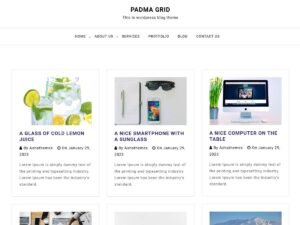 Padma Grid WordPress Theme