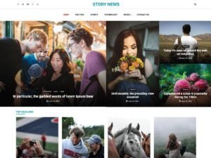 Story News WordPress Theme