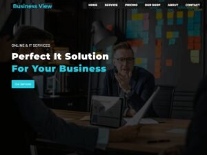 Business View WordPress Theme