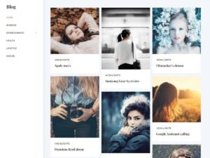 Fifteen Blog WordPress Theme