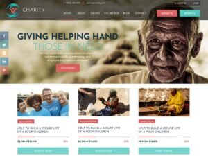 NGO Organization WordPress Theme