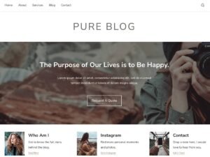 Pure Blog WordPress Theme