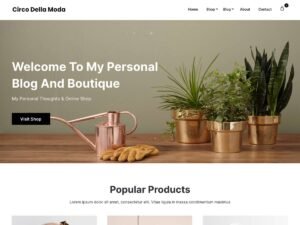 Shop And Blog WordPress Theme