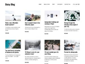 Daisy Blog WordPress Theme