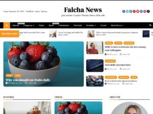Falcha News WordPress Theme