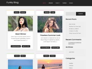 Funky Blog WordPress Theme