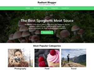 Radiant Blogger WordPress Theme