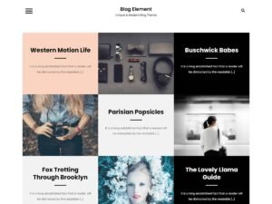 Blog Element WordPress Theme