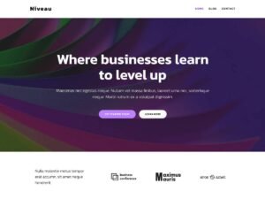 Niveau WordPress Theme