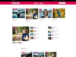 PH NEWS EXPRESS WordPress Theme