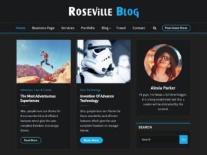 Roseville Blog WordPress Theme