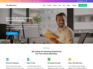 VisualBusiness WordPress Theme