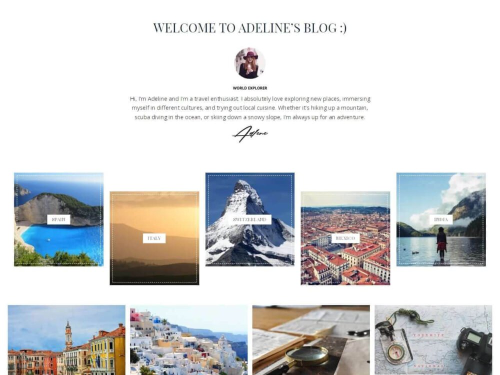 premium wordpress theme