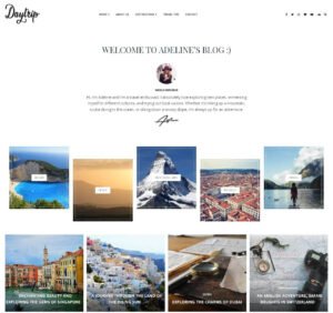Beautiful WordPress theme for travel blogs