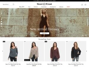 Aster Storefront WordPress Theme