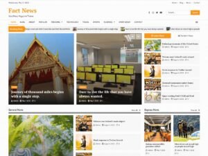 Fact News WordPress Theme