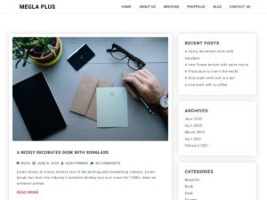 Megla Plus WordPress Theme