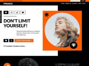 Pinaka WordPress Theme