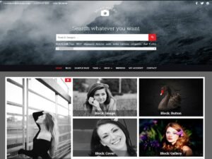 Snapfolio WordPress Theme