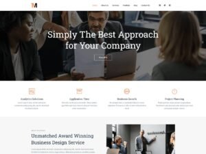 TTM Business WordPress Theme
