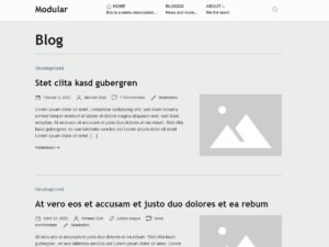 ZMT Modular WordPress Theme