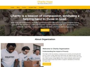 CA Charity Hope WordPress Theme