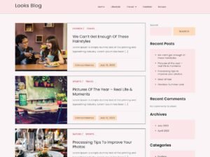 Looks Blog WordPress Theme