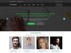 Magenta Plus WordPress Theme